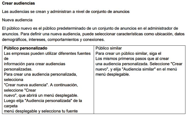 publico personalizado facebook ads